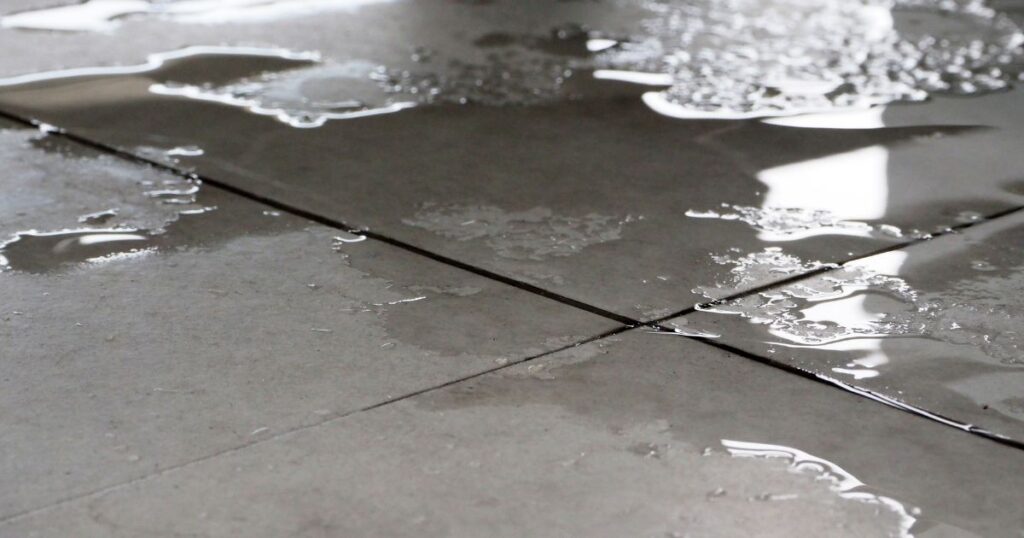 wet floor in a retail store